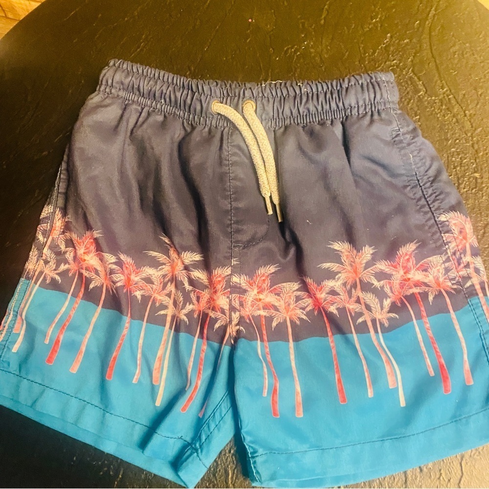 Swim trunks by the endless Summer